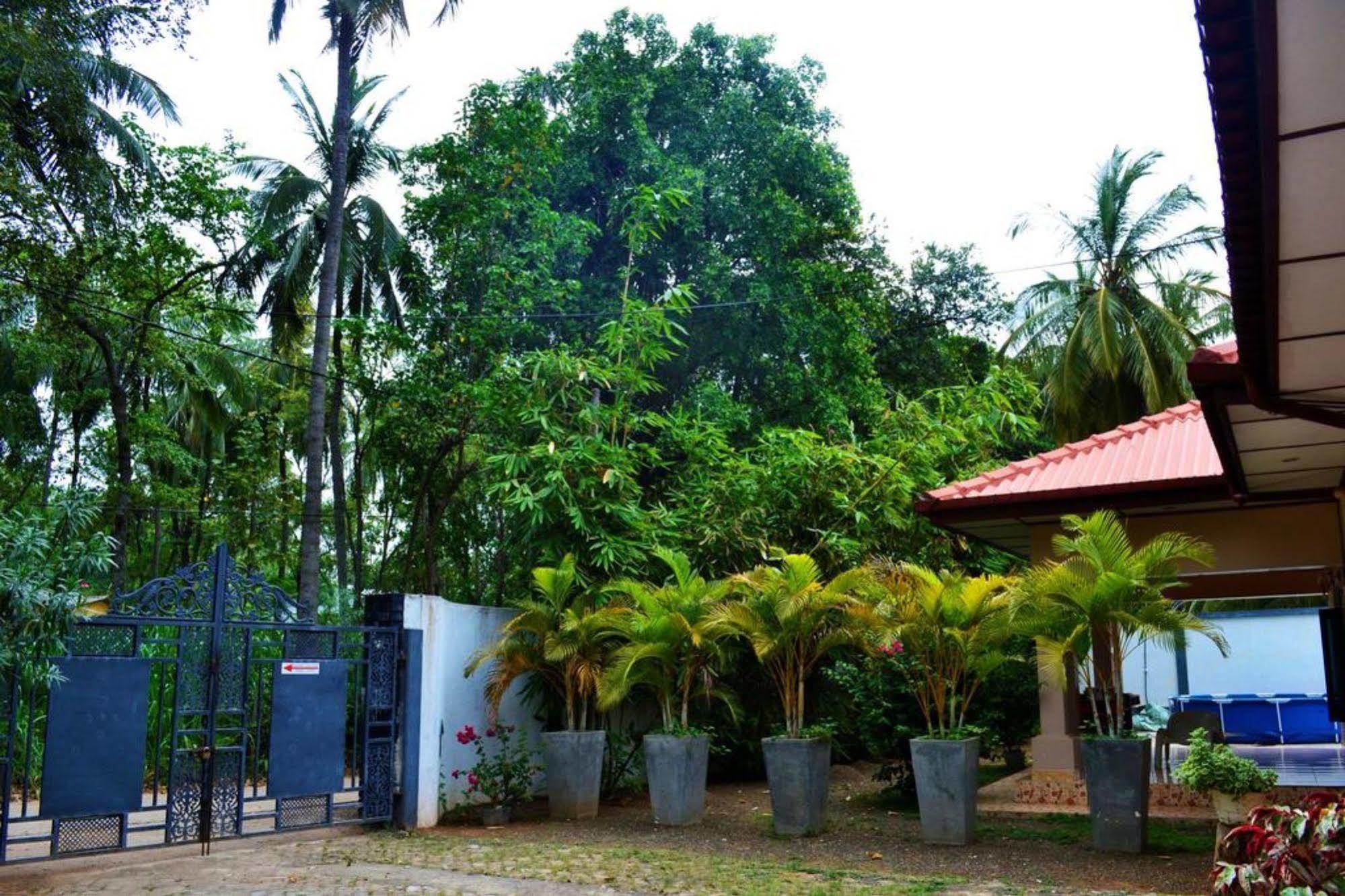 Dambulla City Hostel Dış mekan fotoğraf